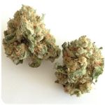 Шишки "White Widow" (Белая вдова) Гидропоника - Бошка VHQ в Тобольске Шишки "White Widow" (Белая вдова) Гидропоника - Бошка VHQ в Тобольске