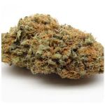 Шишки AK47 (Гидропоника, Бошка) VHQ в Тобольске Шишки AK47 (Гидропоника, Бошка) VHQ в Тобольске